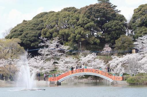 垣生公園 垣生公園,空,池の写真素材