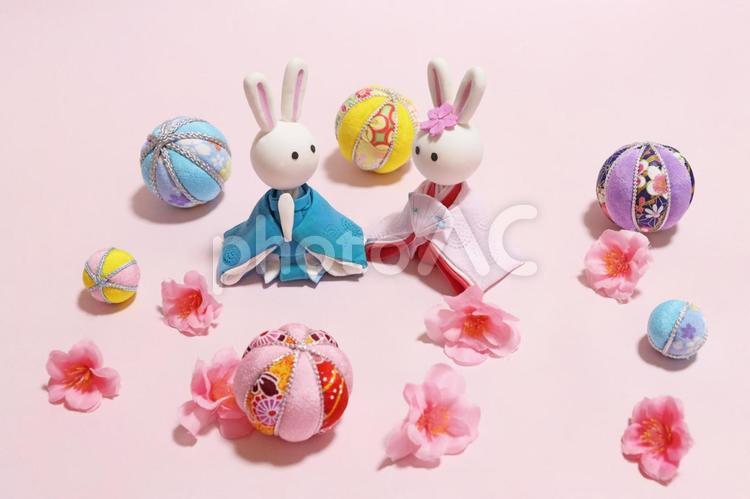 ひな祭り背景　かわいいうさぎのお雛様 おひな様,かわいい,うさぎの写真素材