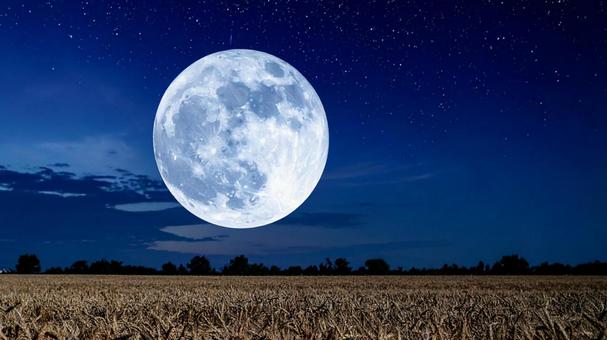 夜空の満月#02Ai 夜空の満月#02Aiの写真