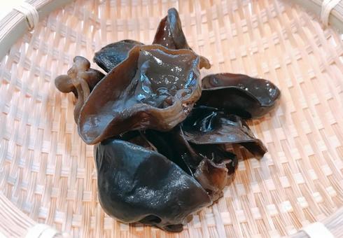 きくらげ きくらげ きくらげ,乾物,乾燥の写真素材
