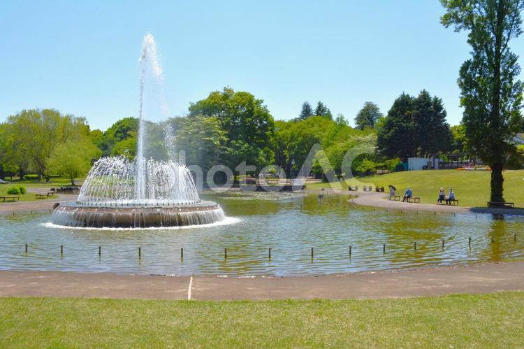 晴れた日の公園の噴水 噴水,池,水辺の写真素材