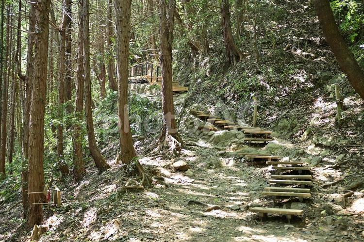 登山道に設置された階段 登山道,山道,階段の写真素材