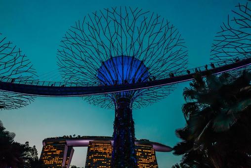 【シンガポール】スーパーツリー ガーデンズバイザベイ,スーパーツリー,植物園の写真素材