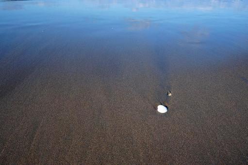 海 海の写真
