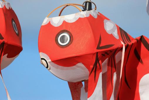 金魚ちょうちん祭り 金魚ちょうちん祭りの写真