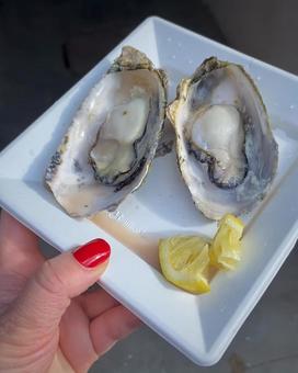 新鮮な牡蠣とレモン 牡蠣,生牡蠣,海鮮の写真素材