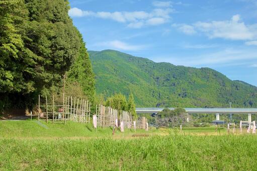[愛知県]新城市長篠·設楽原の戦い馬防柵 長篠,長篠の戦い,長篠合戦の写真素材