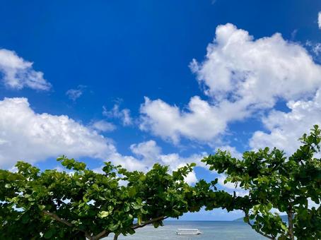 石垣島 フキサビーチから見る風景 石垣島 フキサビーチから見る風景 石垣島,海,風景の写真素材