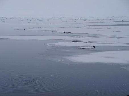 アイスランド 海と雪原 アイスランド 海と雪原の写真