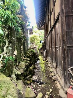 いつかの裏道 いつかの裏道 裏道,石垣,苔の写真素材