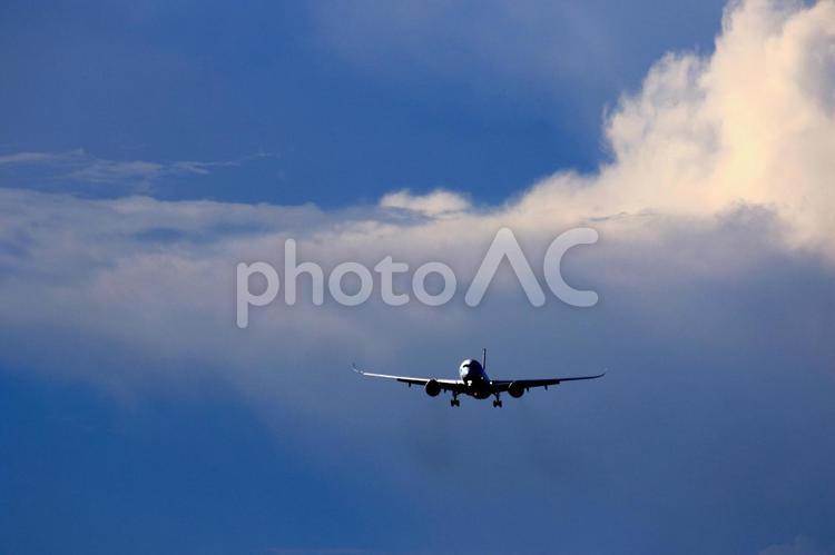 着陸態勢の旅客機 飛行機,航空機,ジェット機の写真素材