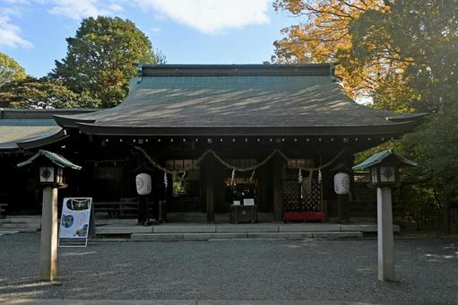 大阪・三島郡 水無瀬神宮 御社殿 大阪・三島郡 水無瀬神宮 御社殿 水無瀬神宮,社殿,鳥居の写真素材