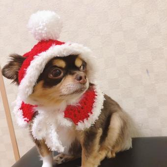 It's Santa Claus, JPG It's Santa Claus, JPG