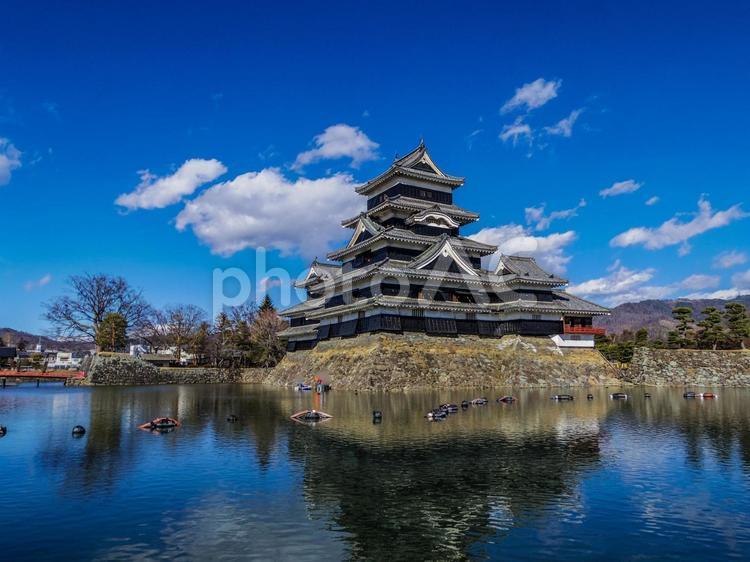【長野県】国宝・松本城 松本城,長野県,天守閣の写真素材