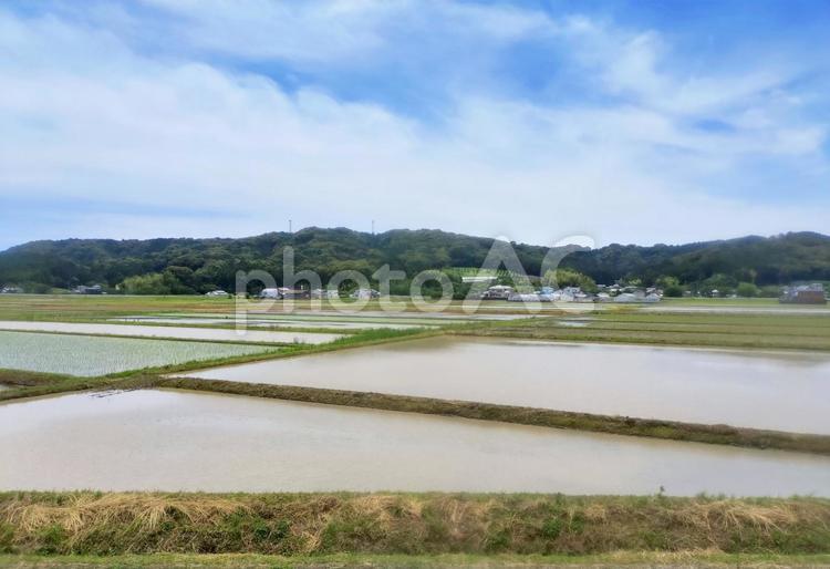 天浜線車窓より袋井山田の初夏の田園風景 水田,田圃,田水張るの写真素材