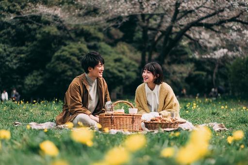 公園でピクニックを楽しむカップル 公園でピクニックを楽しむカップルの写真