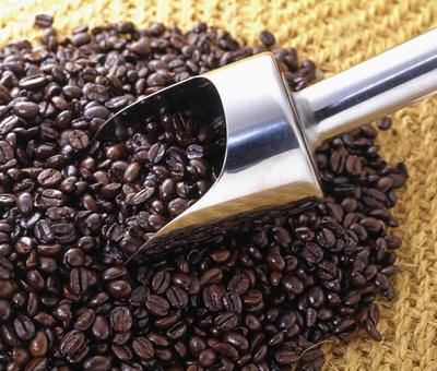 コーヒー豆 イメージカット コーヒー豆 イメージカット コーヒー豆,豆,スプーンの写真素材