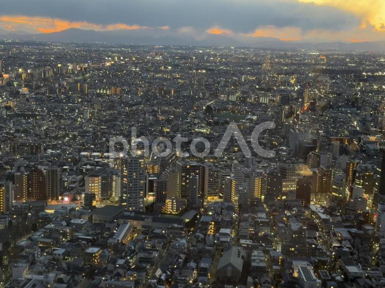 東京都庁から東京の街並みを見下ろす 夕暮れ,夕日,パノラマの写真素材