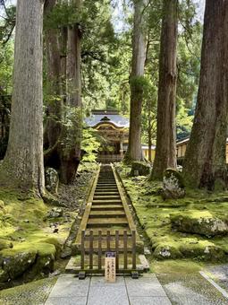 2025年夏の永平寺 2025年夏の永平寺 参道,永平寺,福井の写真素材