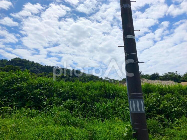 夏の風景 風景,景色,自然の写真素材