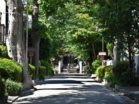 石神井氷川神社参道 石神井氷川神社参道の写真