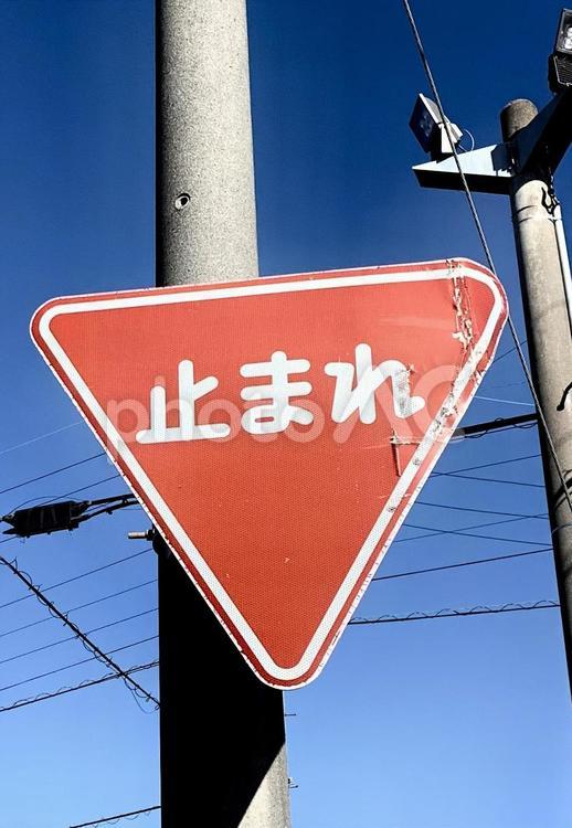 止まれ 看板,カッコいい,木の写真素材