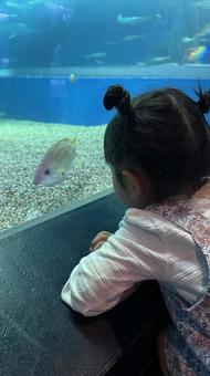 魚とわたし 魚,幼児,こどもの写真素材