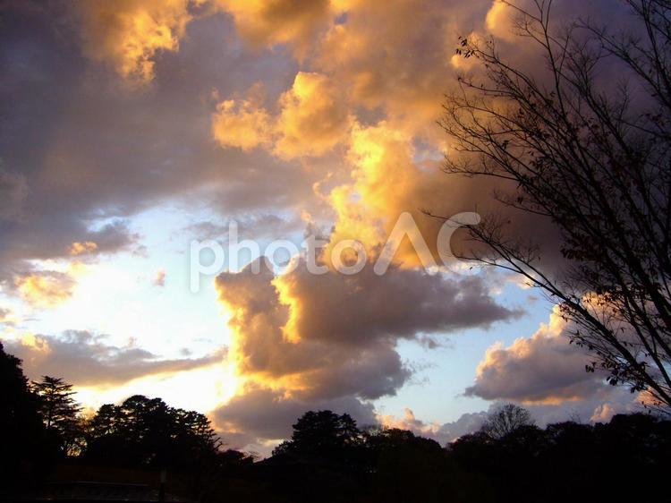 夕暮れ時の冬の空 夕焼け,空,夕方の写真素材