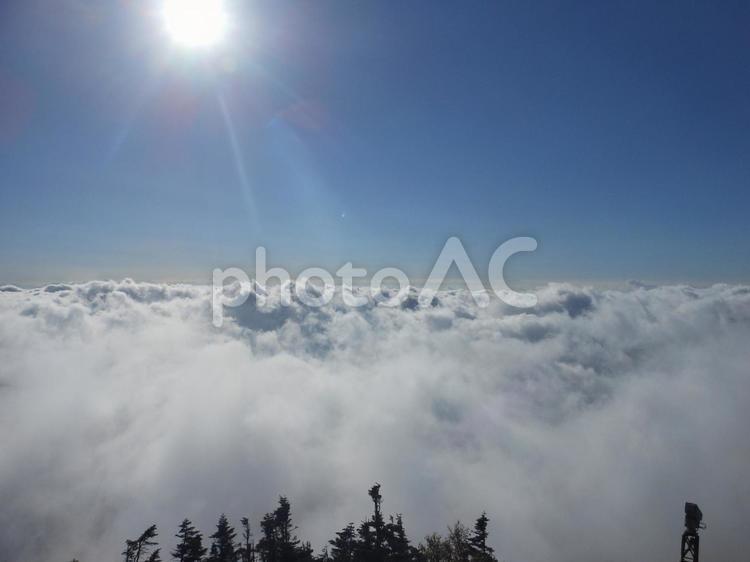 太陽の光がさす雲海（横手山）長野県 雲海,晴れ,雲海と太陽の写真素材