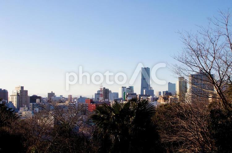 みなとみらいの街 ビル,ビル群,ブルーの写真素材