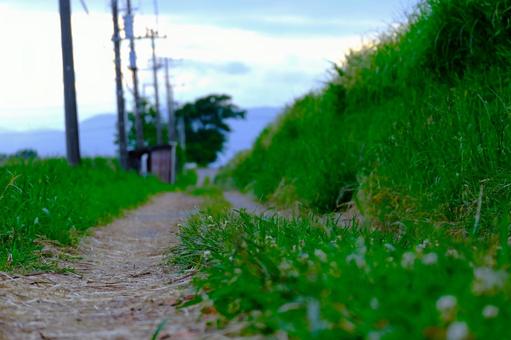 足元から見た散歩道 足元から見た散歩道の写真