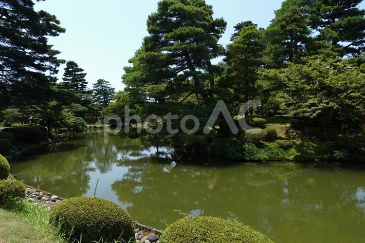 【石川】兼六園の風景 兼六園,庭園,緑の写真素材