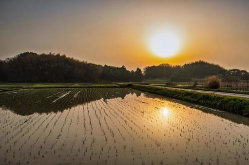 水田に朝日が反射する美しい日本の田園風景 水田に朝日が反射する美しい日本の田園風景 水田,太陽,田んぼの写真素材