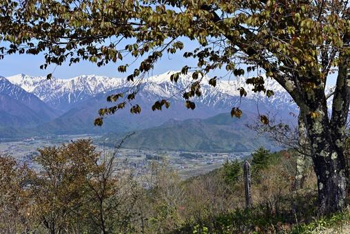 大町市街越しに北アルプスを望む 大町市街越しに北アルプスを望む 北アルプス,風景,青空の写真素材