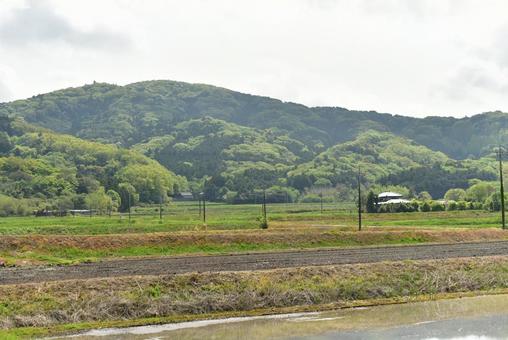 山と田んぼ 山と田んぼの写真