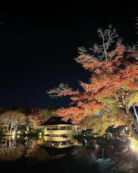 公園 公園の写真
