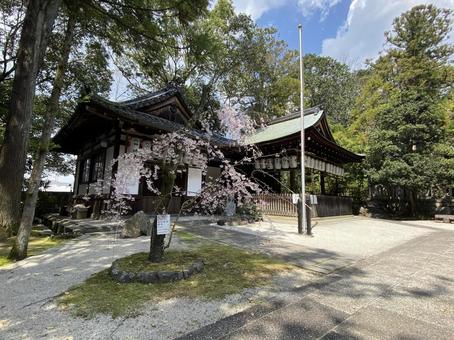 神社の境内 神社の境内の写真