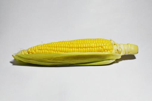 とうもろこし とうもろこしの写真