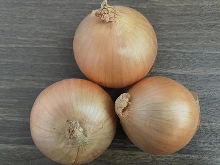 玉ねぎのイメージ たまねぎ,タマネギ,玉ねぎの写真素材