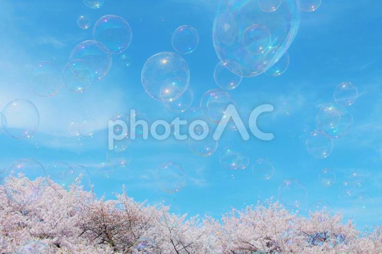 桜としゃぼん玉 桜,春,花の写真素材