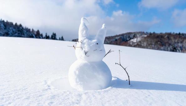 雪うさぎ 雪をウサギの形にして固めた雪像 雪うさぎ 雪をウサギの形にして固めた雪像の写真