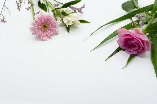 ピンクの花たちの背景 ピンクの花たちの背景 テクスチャ,薔薇,バラの写真素材