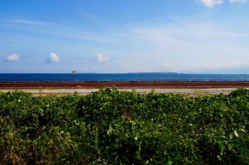 夏の風景 夏の風景の写真