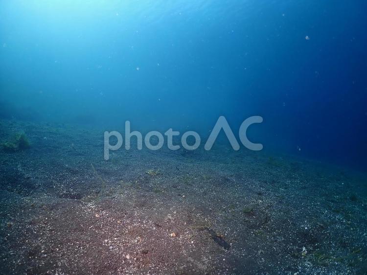 あおの世界 海,自然,幻想的の写真素材