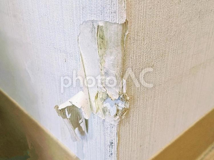 損傷した角のクロス 損傷,内壁,破れの写真素材