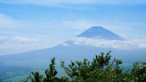 夏の富士山 夏の富士山の写真