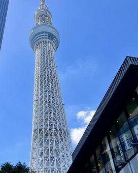 スカイツリーの景色 スカイツリーの景色 スカイツリー,塔,電波塔の写真素材