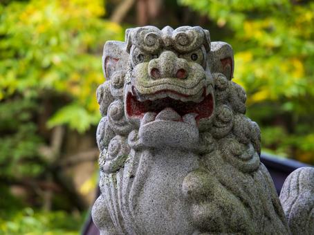 戸隠神社の狛犬 戸隠神社の狛犬の写真