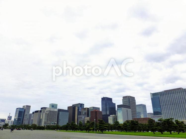 皇居前広場から見る丸の内の風景　 丸の内,皇居,松林の写真素材