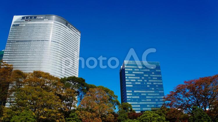 都会の風景　雲一つない青空と高層ビル 風景,景色,都市景観の写真素材